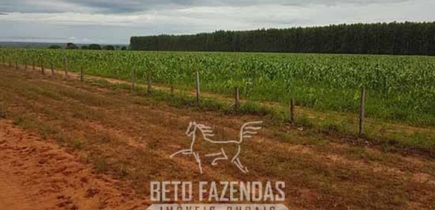 Fazenda de Dupla Aptidão 6.320 has Infraestrutura Completa e Reflorestamento | Unaí/ MG