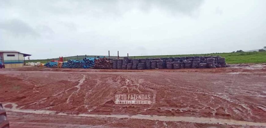 Fazenda de Café 2.929 hectares com Alta Tecnologia | Lassance – MG Fazenda de Café 2.929 hectares com Alta Tecnologia | Lassance – MG