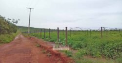 Fazenda de Café 2.929 hectares com Alta Tecnologia | Lassance – MG Fazenda de Café 2.929 hectares com Alta Tecnologia | Lassance – MG