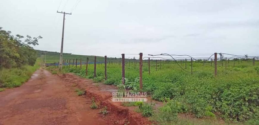 Fazenda de Café 2.929 hectares com Alta Tecnologia | Lassance – MG Fazenda de Café 2.929 hectares com Alta Tecnologia | Lassance – MG