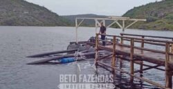 Fazenda de Café 2.929 hectares com Alta Tecnologia | Lassance – MG Fazenda de Café 2.929 hectares com Alta Tecnologia | Lassance – MG