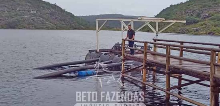 Fazenda de Café 2.929 hectares com Alta Tecnologia | Lassance – MG Fazenda de Café 2.929 hectares com Alta Tecnologia | Lassance – MG