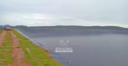 Fazenda de Café 2.929 hectares com Alta Tecnologia | Lassance – MG Fazenda de Café 2.929 hectares com Alta Tecnologia | Lassance – MG