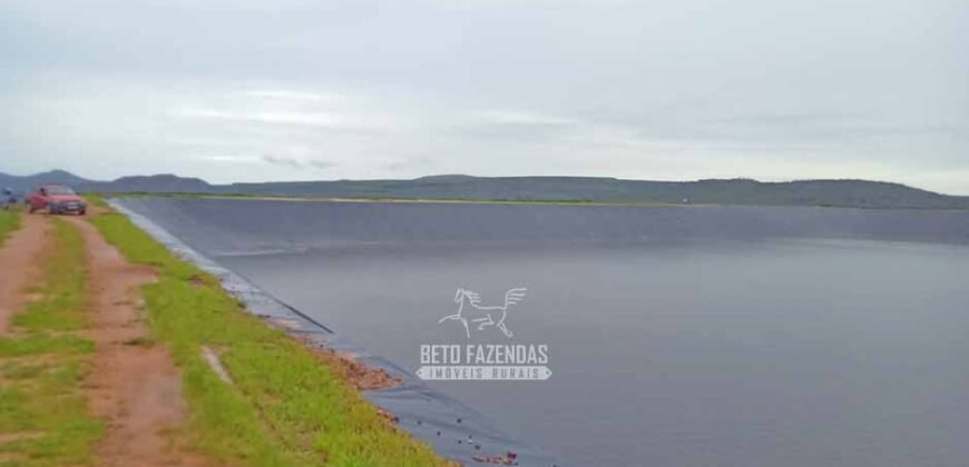 Fazenda de Café 2.929 hectares com Alta Tecnologia | Lassance – MG Fazenda de Café 2.929 hectares com Alta Tecnologia | Lassance – MG
