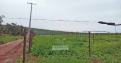 Fazenda de Café 2.929 hectares com Alta Tecnologia | Lassance – MG Fazenda de Café 2.929 hectares com Alta Tecnologia | Lassance – MG