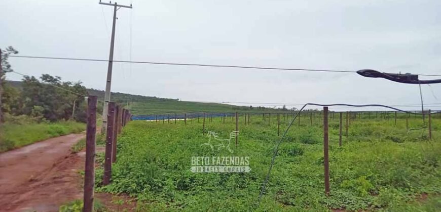 Fazenda de Café 2.929 hectares com Alta Tecnologia | Lassance – MG Fazenda de Café 2.929 hectares com Alta Tecnologia | Lassance – MG