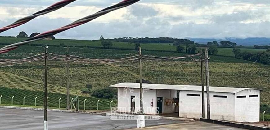 Fazenda à Venda 1.333 hectares Alto Padrão Tecnologia e Produtividade em Café | Piunhi/ MG