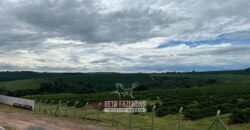 Fazenda à Venda 1.333 hectares Alto Padrão Tecnologia e Produtividade em Café | Piunhi/ MG