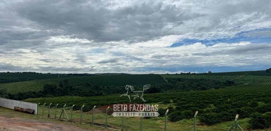 Fazenda à Venda 1.333 hectares Alto Padrão Tecnologia e Produtividade em Café | Piunhi/ MG