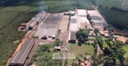 Fazenda à Venda 1.333 hectares Alto Padrão Tecnologia e Produtividade em Café | Piunhi/ MG