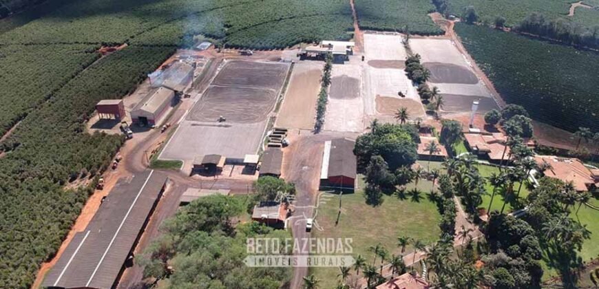 Fazenda à Venda 1.333 hectares Alto Padrão Tecnologia e Produtividade em Café | Piunhi/ MG
