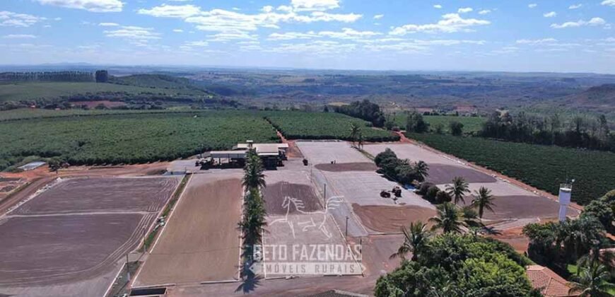 Fazenda à Venda 1.333 hectares Alto Padrão Tecnologia e Produtividade em Café | Piunhi/ MG