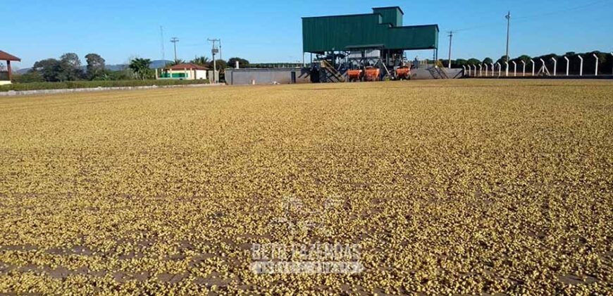 Fazenda à Venda 1.333 hectares Alto Padrão Tecnologia e Produtividade em Café | Piunhi/ MG