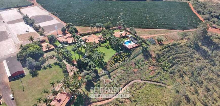 Fazenda à Venda 1.333 hectares Alto Padrão Tecnologia e Produtividade em Café | Piunhi/ MG