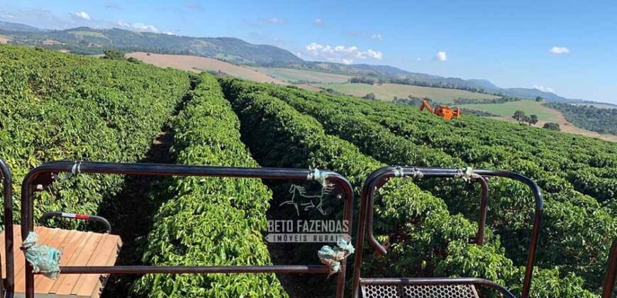 Fazenda à Venda 1.333 hectares Alto Padrão Tecnologia e Produtividade em Café | Piunhi/ MG