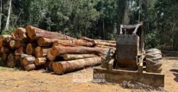 Fazenda à Venda 207.000 hectares de Grande Porte Infraestrutura Florestal | Paragominas/ PA Fazenda à Venda 207.000 hectares de Grande Porte Infraestrutura Florestal | Paragominas/ PA