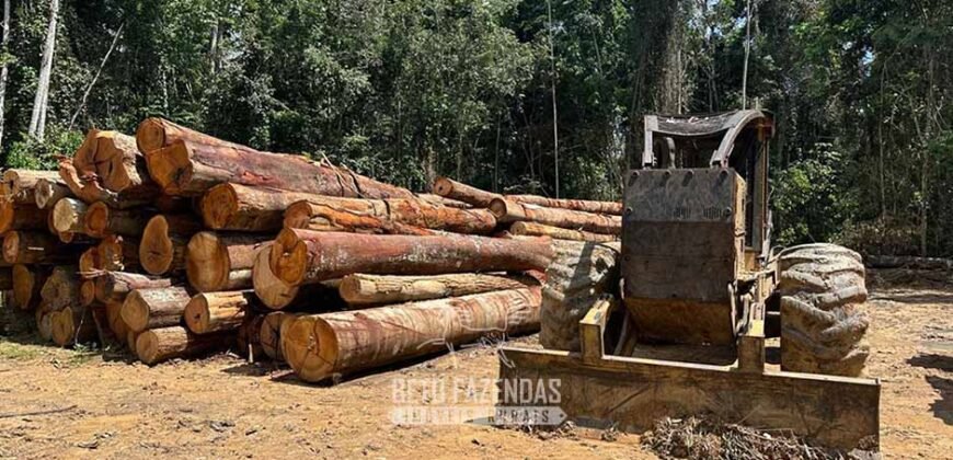 Fazenda à Venda 207.000 hectares de Grande Porte Infraestrutura Florestal | Paragominas/ PA Fazenda à Venda 207.000 hectares de Grande Porte Infraestrutura Florestal | Paragominas/ PA