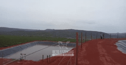 Fazenda de Café 2.929 hectares com Alta Tecnologia | Lassance – MG Fazenda de Café 2.929 hectares com Alta Tecnologia | Lassance – MG