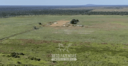 Fazenda à Venda Potencial de Expansão na Lavoura com Armazenamento  | Confresa/ MT –