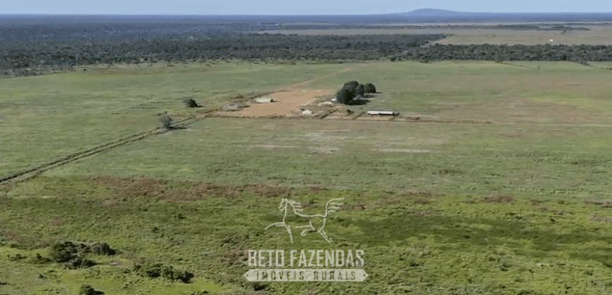 Fazenda à Venda Potencial de Expansão na Lavoura com Armazenamento  | Confresa/ MT –