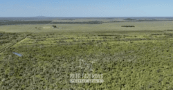 Fazenda à Venda Potencial de Expansão na Lavoura com Armazenamento  | Confresa/ MT –