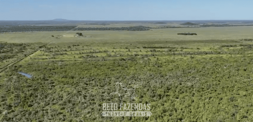 Fazenda à Venda Potencial de Expansão na Lavoura com Armazenamento  | Confresa/ MT –