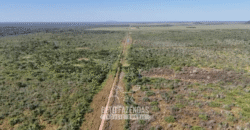 Fazenda à Venda Potencial de Expansão na Lavoura com Armazenamento  | Confresa/ MT –