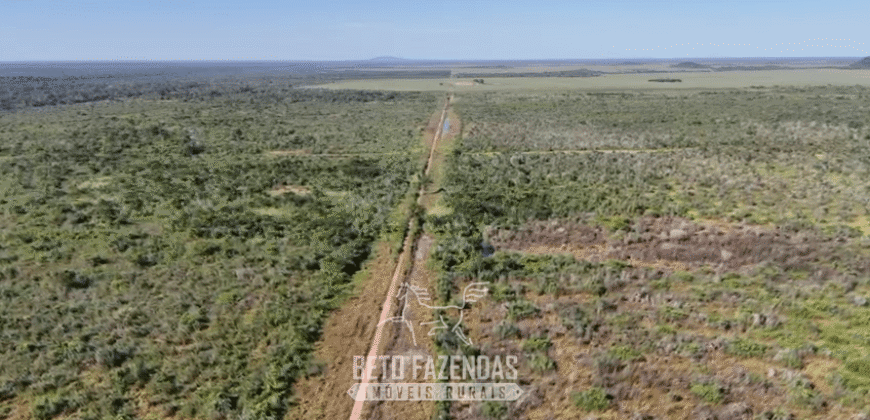 Fazenda à Venda Potencial de Expansão na Lavoura com Armazenamento  | Confresa/ MT –