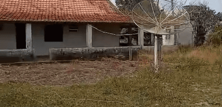 Fazenda à Venda 62 alqueires com Plantação de Pés de Coco | Quissamã/ RJ Fazenda à Venda 62 alqueires com Plantação de Pés de Coco | Quissamã/ RJ