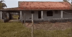 Fazenda à Venda 62 alqueires com Plantação de Pés de Coco | Quissamã/ RJ Fazenda à Venda 62 alqueires com Plantação de Pés de Coco | Quissamã/ RJ