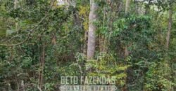 Fazenda à Venda 15.726 Hectares Para Lavoura no MATOPIBA | Santa Rosa/PI Fazenda à Venda 15.726 Hectares Para Lavoura no MATOPIBA | Santa Rosa/PI