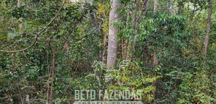 Fazenda à Venda 15.726 Hectares Para Lavoura no MATOPIBA | Santa Rosa/PI Fazenda à Venda 15.726 Hectares Para Lavoura no MATOPIBA | Santa Rosa/PI