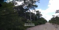 Fazenda à Venda 15.726 Hectares Para Lavoura no MATOPIBA | Santa Rosa/PI Fazenda à Venda 15.726 Hectares Para Lavoura no MATOPIBA | Santa Rosa/PI