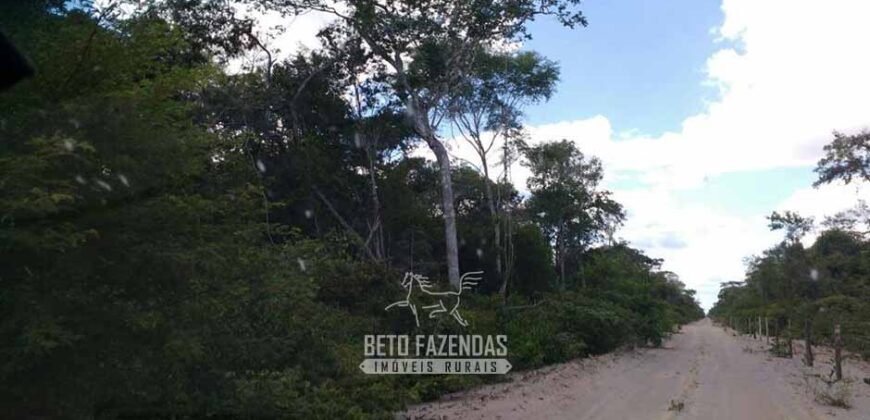Fazenda à Venda 15.726 Hectares Para Lavoura no MATOPIBA | Santa Rosa/PI Fazenda à Venda 15.726 Hectares Para Lavoura no MATOPIBA | Santa Rosa/PI