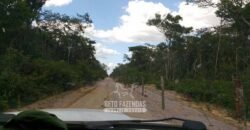 Fazenda à Venda 15.726 Hectares Para Lavoura no MATOPIBA | Santa Rosa/PI Fazenda à Venda 15.726 Hectares Para Lavoura no MATOPIBA | Santa Rosa/PI