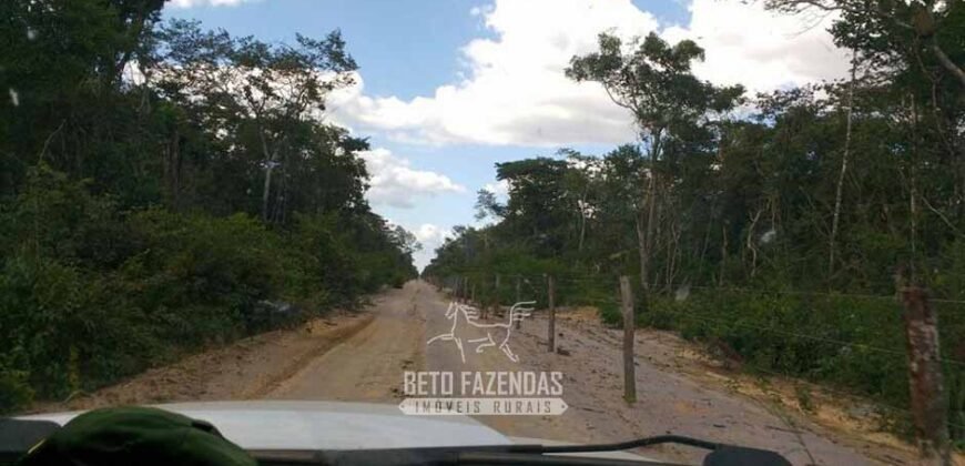 Fazenda à Venda 15.726 Hectares Para Lavoura no MATOPIBA | Santa Rosa/PI Fazenda à Venda 15.726 Hectares Para Lavoura no MATOPIBA | Santa Rosa/PI