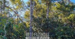 Fazenda à Venda 15.726 Hectares Para Lavoura no MATOPIBA | Santa Rosa/PI Fazenda à Venda 15.726 Hectares Para Lavoura no MATOPIBA | Santa Rosa/PI