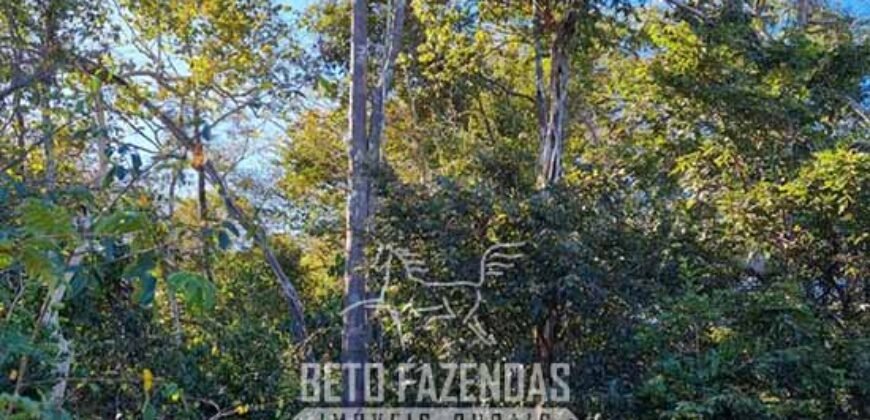 Fazenda à Venda 15.726 Hectares Para Lavoura no MATOPIBA | Santa Rosa/PI Fazenda à Venda 15.726 Hectares Para Lavoura no MATOPIBA | Santa Rosa/PI