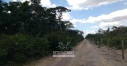 Fazenda à Venda 15.726 Hectares Para Lavoura no MATOPIBA | Santa Rosa/PI Fazenda à Venda 15.726 Hectares Para Lavoura no MATOPIBA | Santa Rosa/PI