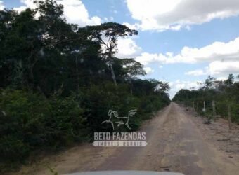 Fazenda à Venda 15.726 Hectares Para Lavoura no MATOPIBA | Santa Rosa/PI Fazenda à Venda 15.726 Hectares Para Lavoura no MATOPIBA | Santa Rosa/PI