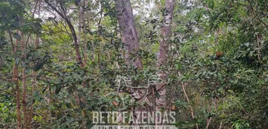 Fazenda à Venda 15.726 Hectares Para Lavoura no MATOPIBA | Santa Rosa/PI Fazenda à Venda 15.726 Hectares Para Lavoura no MATOPIBA | Santa Rosa/PI