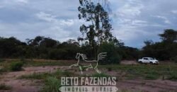 Fazenda à Venda 15.726 Hectares Para Lavoura no MATOPIBA | Santa Rosa/PI Fazenda à Venda 15.726 Hectares Para Lavoura no MATOPIBA | Santa Rosa/PI