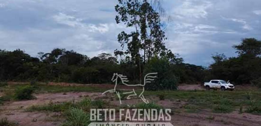 Fazenda à Venda 15.726 Hectares Para Lavoura no MATOPIBA | Santa Rosa/PI Fazenda à Venda 15.726 Hectares Para Lavoura no MATOPIBA | Santa Rosa/PI