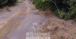 Fazenda à Venda 15.726 Hectares Para Lavoura no MATOPIBA | Santa Rosa/PI Fazenda à Venda 15.726 Hectares Para Lavoura no MATOPIBA | Santa Rosa/PI