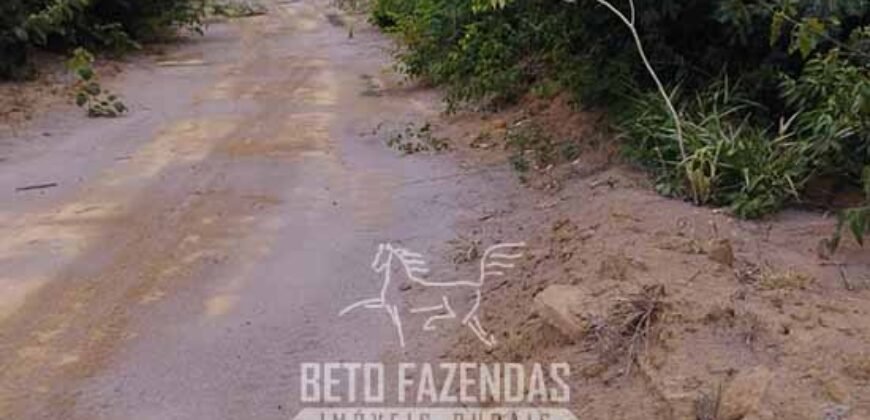 Fazenda à Venda 15.726 Hectares Para Lavoura no MATOPIBA | Santa Rosa/PI Fazenda à Venda 15.726 Hectares Para Lavoura no MATOPIBA | Santa Rosa/PI