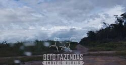 Fazenda à Venda 15.726 Hectares Para Lavoura no MATOPIBA | Santa Rosa/PI Fazenda à Venda 15.726 Hectares Para Lavoura no MATOPIBA | Santa Rosa/PI