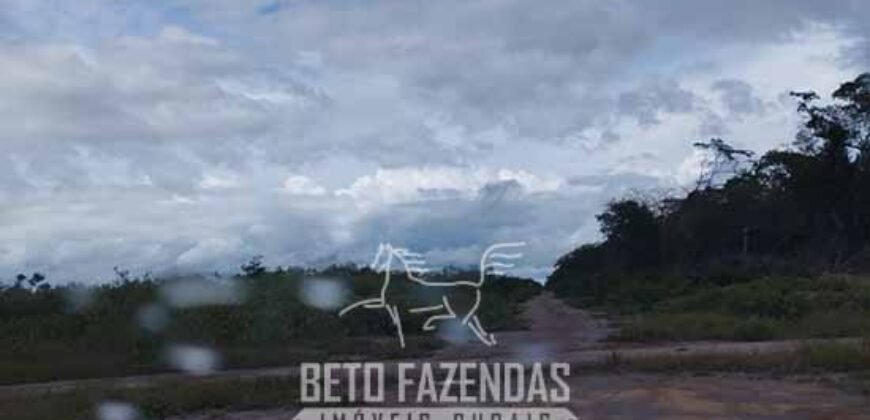 Fazenda à Venda 15.726 Hectares Para Lavoura no MATOPIBA | Santa Rosa/PI Fazenda à Venda 15.726 Hectares Para Lavoura no MATOPIBA | Santa Rosa/PI