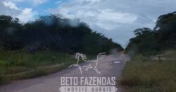 Fazenda à Venda 15.726 Hectares Para Lavoura no MATOPIBA | Santa Rosa/PI Fazenda à Venda 15.726 Hectares Para Lavoura no MATOPIBA | Santa Rosa/PI