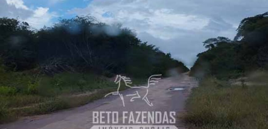Fazenda à Venda 15.726 Hectares Para Lavoura no MATOPIBA | Santa Rosa/PI Fazenda à Venda 15.726 Hectares Para Lavoura no MATOPIBA | Santa Rosa/PI