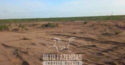 Fazenda à Venda 15.726 Hectares Para Lavoura no MATOPIBA | Santa Rosa/PI Fazenda à Venda 15.726 Hectares Para Lavoura no MATOPIBA | Santa Rosa/PI